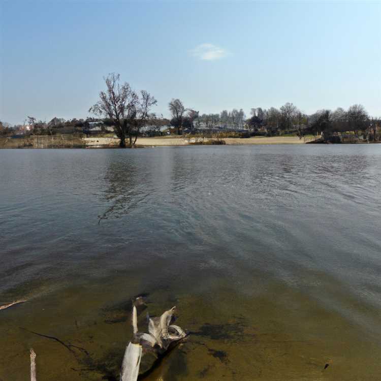 Что можно рассказать о водоемах город Абдулино