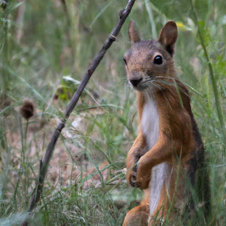 Оленевидная собака