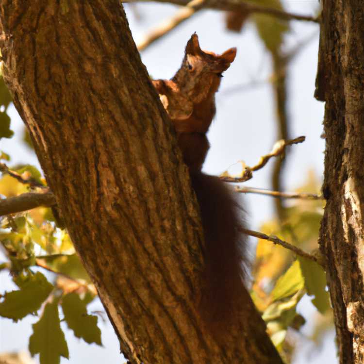 Обычные представители местной фауны Абдулино